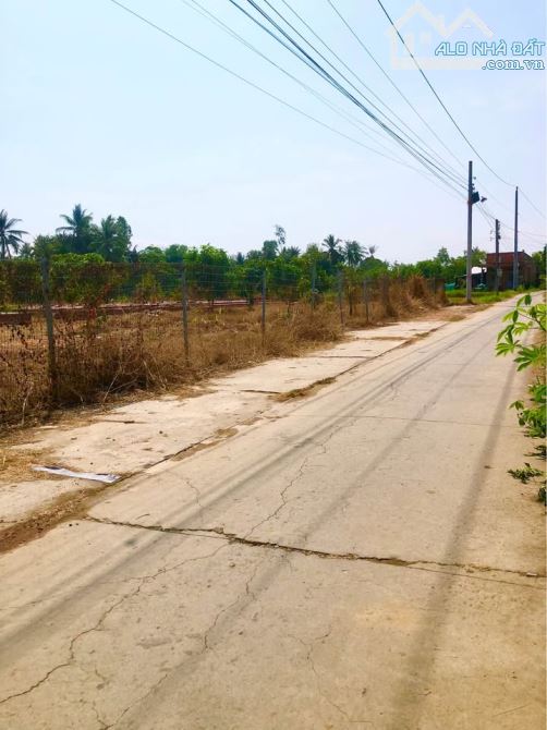 💎 Đất Đẹp (46 x 72m) xây nhà vườn đường xe hơi xã Tân Tây cũ gần Tỉnh Lộ 873B - 8