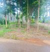 Bán 170m2 đất sổ riêng đường Tây Hòa Trảng Bom Đồng Nai, 920 triệu.