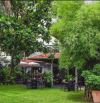 CHO THUÊ VILLA SÂN VƯỜN RỘNG – 6/1 NGUYỄN Ư DĨ, Q2 – 32M X 30M - 2 TẦNG - NHÀ ĐẸP GIÁ TỐT