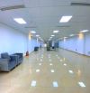 Mặt phố Hoàng Quốc Việt tòa nhà văn phòng 262m2, 9 tầng, mt 11m, 135 tỷ, 450 triệu/tháng