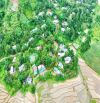 3050m Có 2000m Đất Ở - Phân Lô Đẹp - View Cánh Đồng Làm Nghỉ Dưỡng Cực Chill