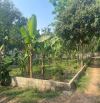 Cần bán gâp 237m đất thổ cư tại mai hạ, Mai Châu, Hoà Bình