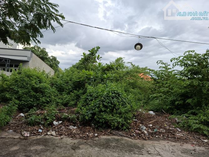 Bán nhanh đất thổ cư hẻm nhựa 12m Nguyễn Văn Tạo, Nhà Bè - 2