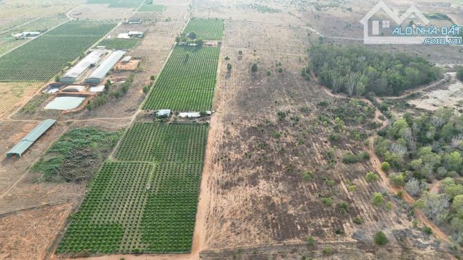 Bán đất gần Biển-Hàm Cường-Hàm Thuận Nam-Bình Thuận-DT 8,7Ha+10Ha