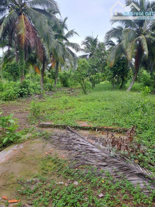 Cho thuê đất 1.500 m2  gần  đại học nam Cần Thơ 10 triệu