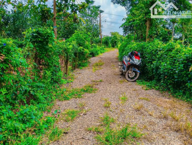 NHÀ VƯỜN CÂY ĂN TRÁI VIEW SUỐI, SẴN THỔ CƯ, KẾ BÊN CÁC KHU NGHỈ DƯỠNG, NHÀ VƯỜN ĐẸP - 10
