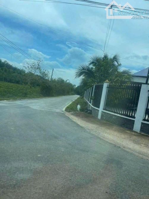 Chủ Cần bán GẤP lô đất 250m2 có 100 thổ giá 220 triệu, sổ hồng sẵn - 1