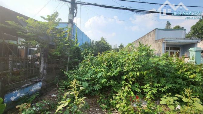 Cần gửi bán 314m2 có thổ cư, Tân Thông Hội , Giá 870tr – Cách QL22 200M - 1