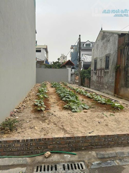 *Đầu tư sinh lời Mạnh Tân - Thư Lâm 64,4m