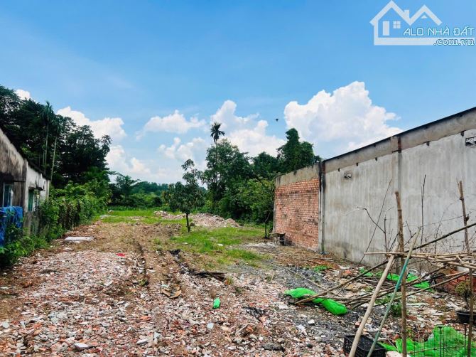 BÁN ĐẤT MẶT TIỀN SIÊU ĐẸP Diện tích: 1.635M2, DIỆN TÍCH LỚN PHÂN LÔ – PHƯỜNG TAM PHƯỚC - 1