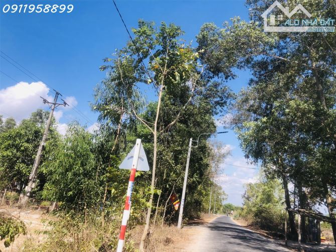 1.85tr/m2 đất 1000m2 mặt tiền Cù Chính Lan, LaGi sổ hồng riêng gái ngộp - 1