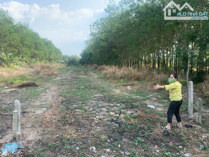 Đất cắt lỗ HXT kinh doanh ngay Vòng xoay Tân Châu 475m2 tc 680tr - 1