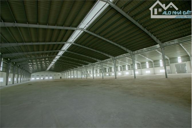 XT368 Xưởng cho thuê ổn định, tiếp nhận linh hoạt ngành nghề, kết cấu khung thép kiên cố - 2