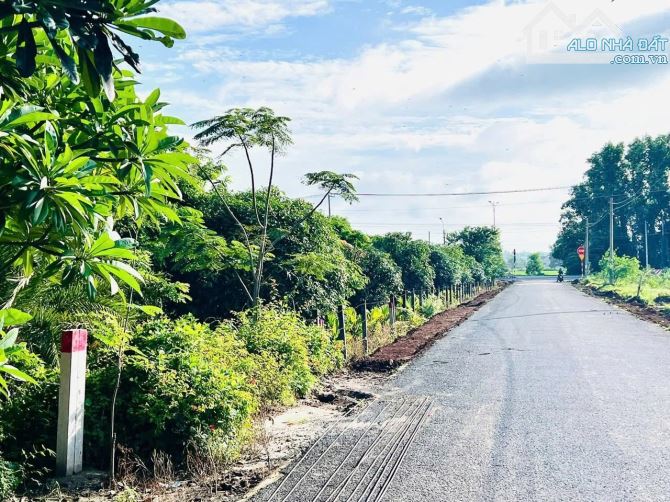 BÀ CHỊ CẦN BÁN LÔ ĐẤT NHÀ VƯỜN THỊ TRẤN PHƯỚC HẢI - BRVT GIÁP ĐƯỜNG TỈNH LỘ 44B - 2