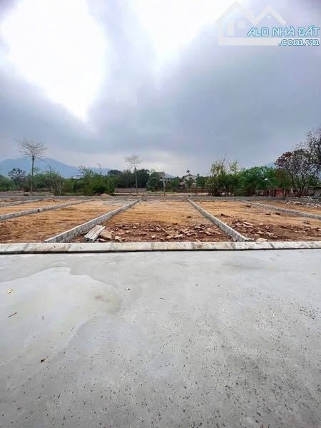 cắt lỗ 2 lô hàng f0 thu hồi vôn - 2