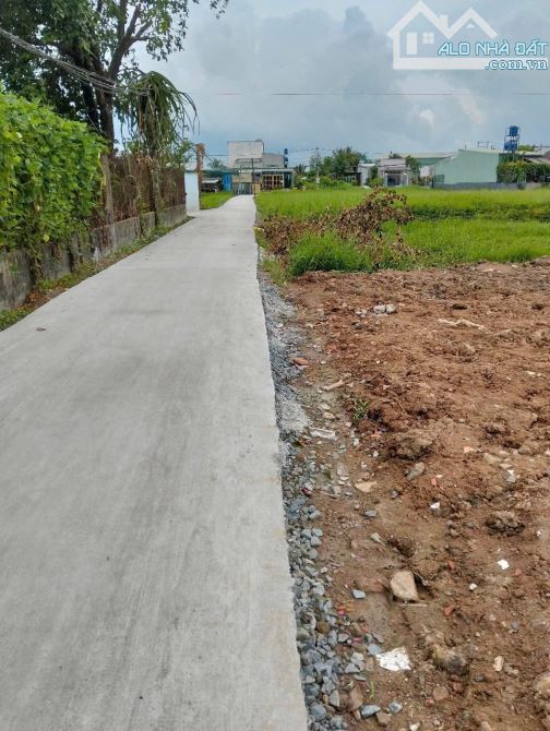 bán 150m2 đất mặt tiền đường nhựa gò hưu vào 1sẹc ấp mới 1 mỹ hạnh nam - 2