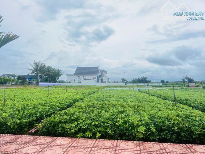 Bán suất ngoại giao đất biển Quất Lâm, Giao Thủy 95m2 ô tô kinh doanh nhỉnh 2 tỷ - 2