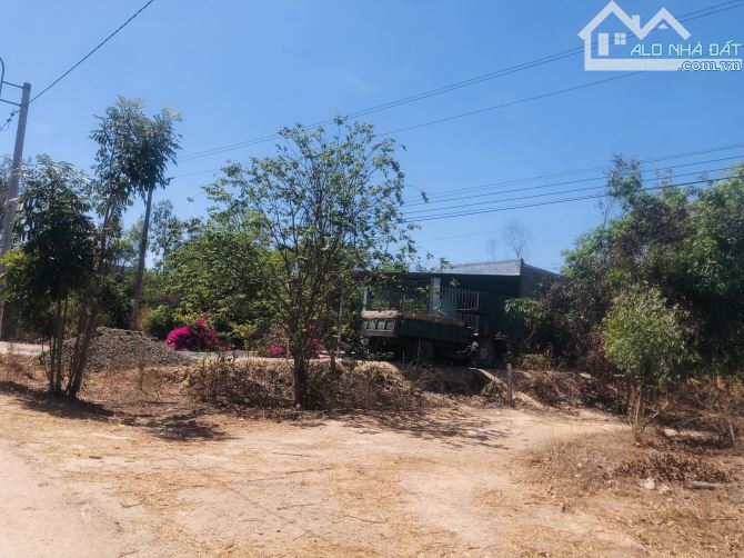 1.85tr/m2 đất 1000m2 mặt tiền Cù Chính Lan, LaGi sổ hồng riêng gái ngộp - 2