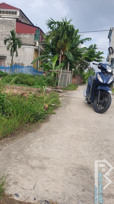 Đất Đẹp vuông vức giá rẻ Lương Tài, Bắc Ninh, kết nối hạ tầng sân bay - 2