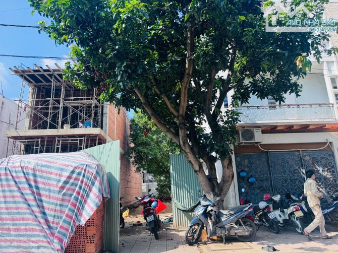 Bán đất Song Ngữ Lạc Hồng phường Bửu Long, sổ hồng 86m2 (4.5x19m) giá 4.1 tỷ - 3