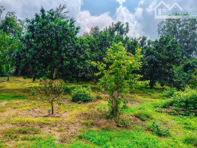NHÀ VƯỜN CÂY ĂN TRÁI VIEW SUỐI, SẴN THỔ CƯ, KẾ BÊN CÁC KHU NGHỈ DƯỠNG, NHÀ VƯỜN ĐẸP - 3