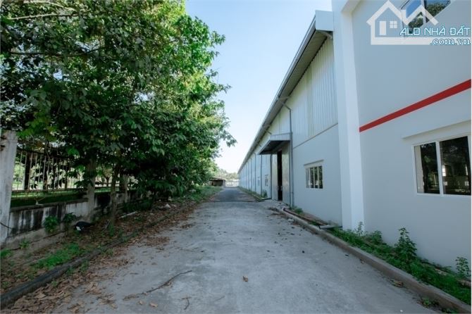 XT368 Xưởng cho thuê ổn định, tiếp nhận linh hoạt ngành nghề, kết cấu khung thép kiên cố - 3