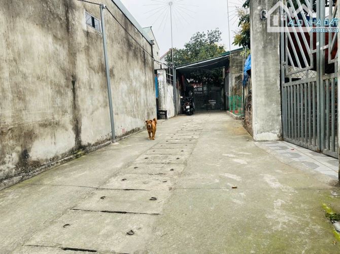 Chỉ 66m²  Đất vàng Cổ Dương, ngõ rộng, gần Vành Đai 3  Cực tiềm năng - 3
