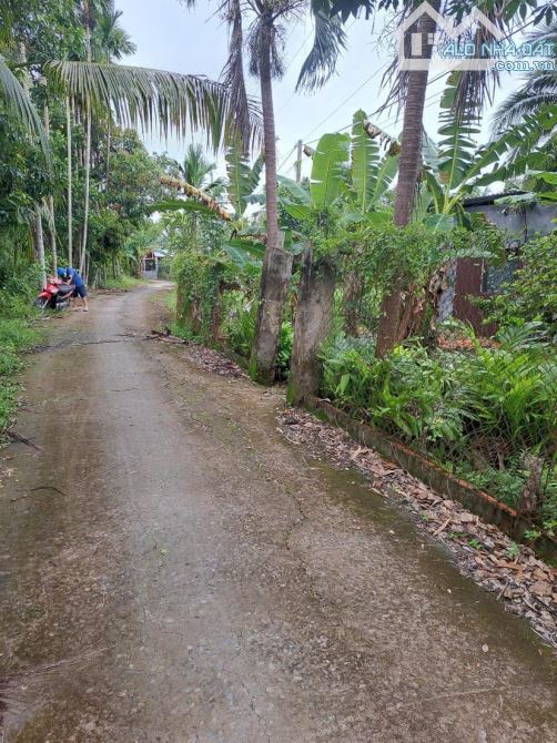 Cho thuê đất 1.500 m2  gần  đại học nam Cần Thơ 10 triệu - 3