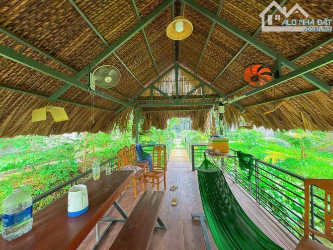 Bán nhà vườn nghĩ dưỡng 1050m2 ( 16 x 65) Nhơn Nghĩa - PĐ - TPCT - 3
