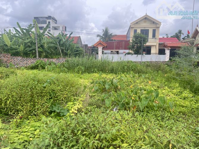 BĐS đẹp trung tâm Lâm Động, Thuỷ Nguyên phân khúc 2 tỷ cho nhà đầu tư. - 3