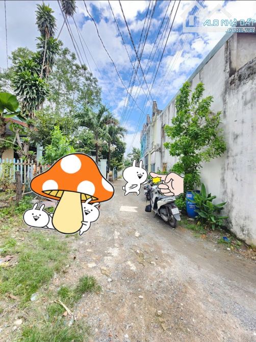 2,3Tỷ TL🔥Bán lô đất 200m2 gần Chợ Tân Phước Khánh, P.Tân Phước Khánh, Tp.Tân Uyên - 3