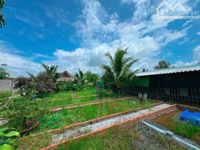 Bán nhà vườn nghĩ dưỡng 1050m2 ( 16 x 65) Nhơn Nghĩa - PĐ - TPCT - 4