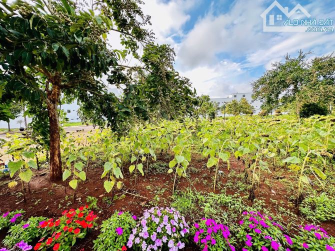 💥Đất Khu đô thị Ân Phú - đường 18m đối diện hoa viên, cách Hà Huy Tập chỉ 70m - 4
