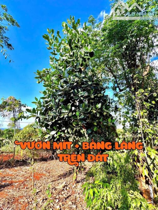 Mở bán 8 lô liền kể tại Ea Kiết - Cư Mgar DakLak giá hời - 4