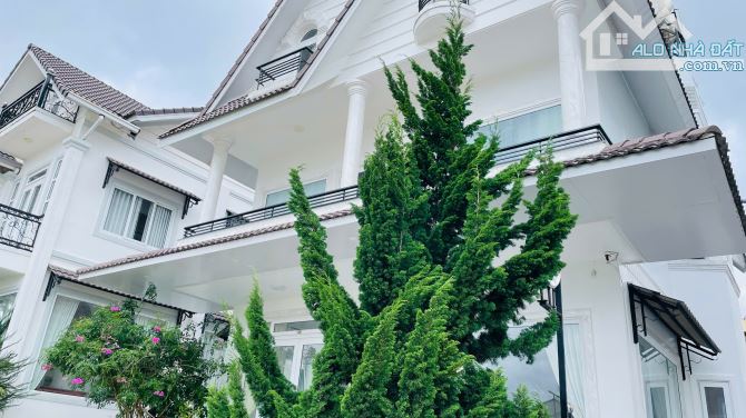 🏡 VILLA DÒNG TIỀN CAO CẤP MAI ANH ĐÀO – SẴN SÀNG KINH DOANH – THU NHẬP NGAY - 5