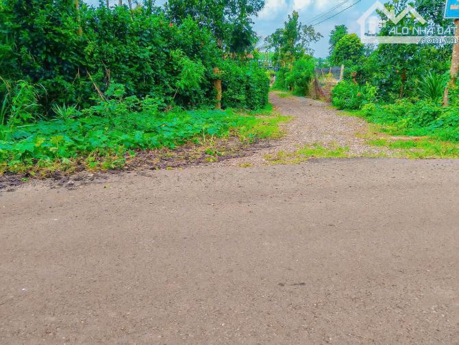 NHÀ VƯỜN CÂY ĂN TRÁI VIEW SUỐI, SẴN THỔ CƯ, KẾ BÊN CÁC KHU NGHỈ DƯỠNG, NHÀ VƯỜN ĐẸP - 7