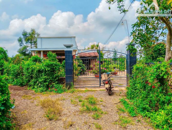 NHÀ VƯỜN CÂY ĂN TRÁI VIEW SUỐI, SẴN THỔ CƯ, KẾ BÊN CÁC KHU NGHỈ DƯỠNG, NHÀ VƯỜN ĐẸP - 9