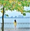 BÁN ĐẤT LÔ GÓC MẶT PHỐ TRÍCH SÀI TÂY HỒ 785M² MT67M  640 TỶ