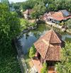 Biệt Thự Sinh Thái Vườn Hưng Long Bình Chánh 9370m2  Chỉ 79Tỷ