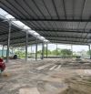 Cho thuê kho xưởng 2500m2 gần KCN Quất Động, Thường Tín, Hà nội kho zamil cao 7m..10m