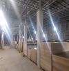 🏭 XƯỞNG ĐANG KHAI THÁC DÒNG TIỀN – TÂN THẠNH ĐÔNG – GẦN NGUYỄN KIM CƯƠNG – DT KHỦNG 2.152