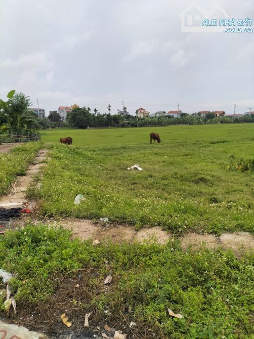 BÁN ĐẤT MẶT NGÕ – Ô TÔ VÀO NHÀ – GẦN MẶT PHỐ – VỊ TRÍ KINH DOANH