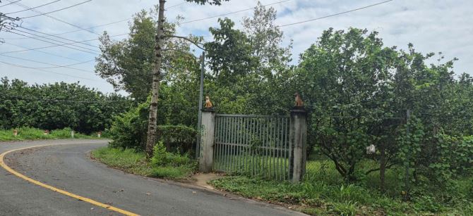 Giá 10,5 tỷ. Bán đất 2334m góc 2 mặt tiền đường Xóm Gạch Bình Lợi, Vĩnh Cửu. Sổ thổ cư.