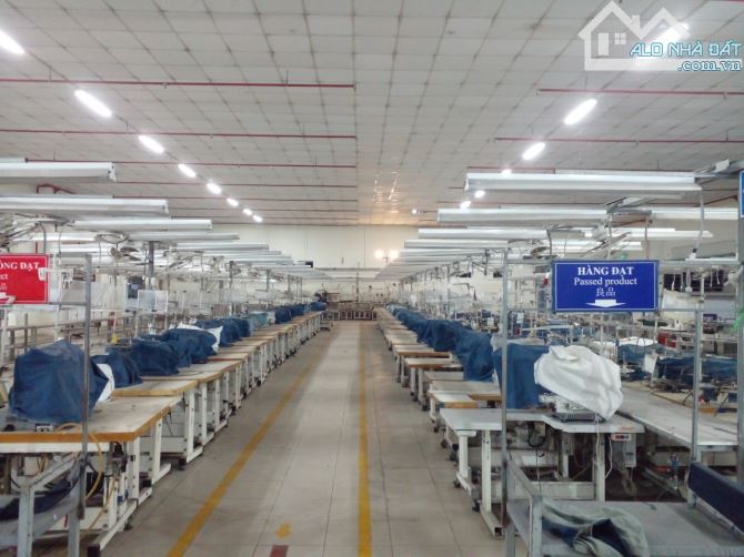 Cho thuê nhà xưởng 1000m2 tại phường An Phú Đông Quận 12