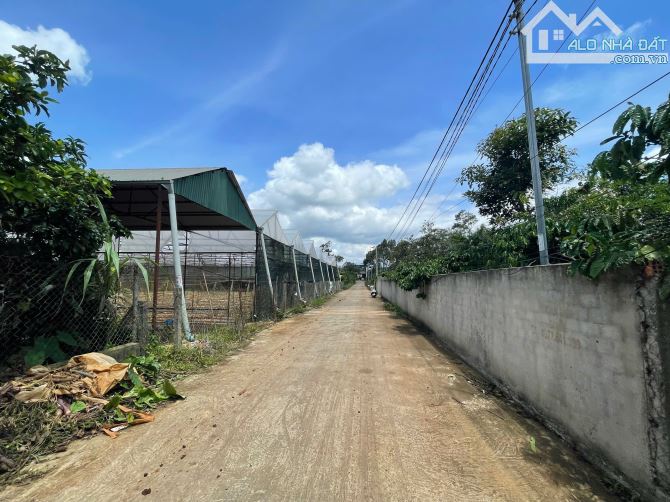Bán lo đất cạnh Ql27 Dt 40x50m tc400m2 Đường Bàn cờ Cách Sân bay hơn 2Km