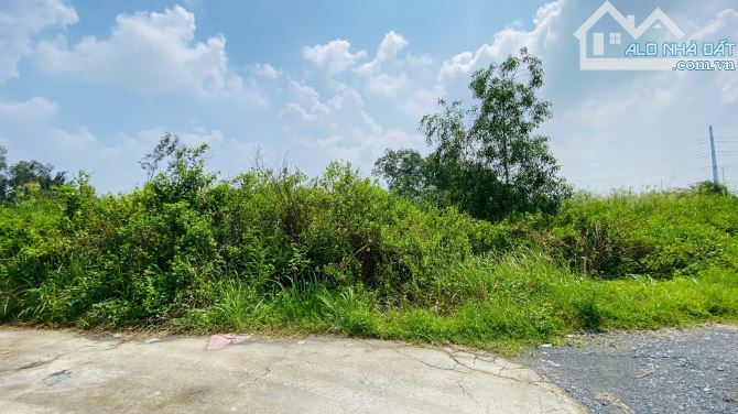 Bán đất dự án Chiến Thắng đường Gò Nổi Quận 9 cũ gần chợ Phú Hữu (615m2) 35 tr/m2