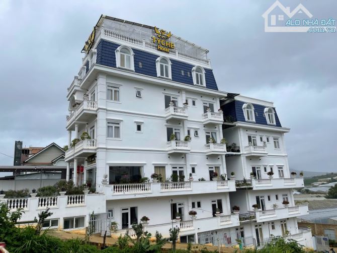 🏡 BÁN ĐẤT BIỆT THỰ, KHÁCH SẠN MẶT TIỀN ĐƯỜNG NGUYÊN TỬ  LỰC- P8- Tp. ĐÀ LẠT - 1