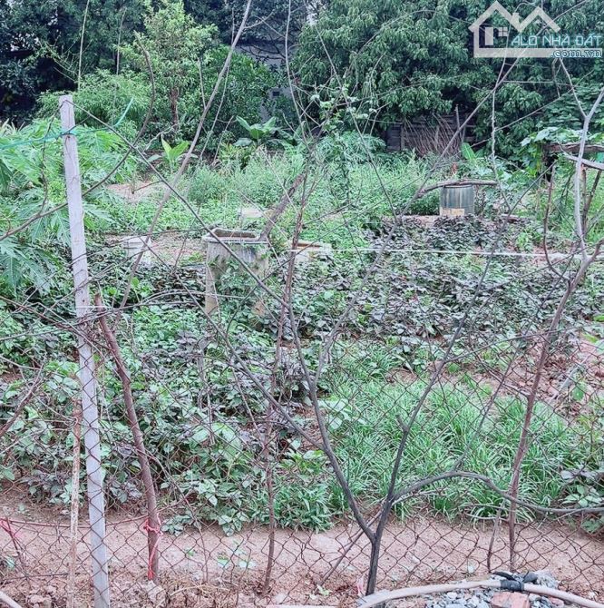 CẦN BÁNn GẤP SIÊU PHẨM Ô TÔ VÀO TẬN ĐẤT 72M NAM HỒNG ZÁ RẺ - 1
