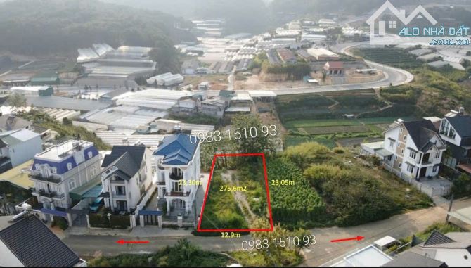 Lô đất An Sơn - Phường 4- Đà Lạt🌲275m²- view rừng thông- 15,5 Tỷ- dãy L.An Sơn - 1