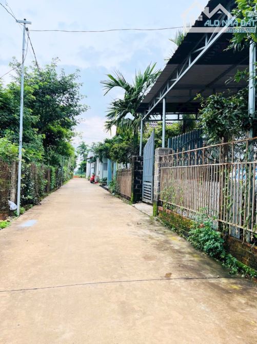 BÁN ĐẤT HẺM ĐƯỜNG THẾ LỮ, P. TÂN HÒA. ❌GIÁ 1.450 TỶ - 1